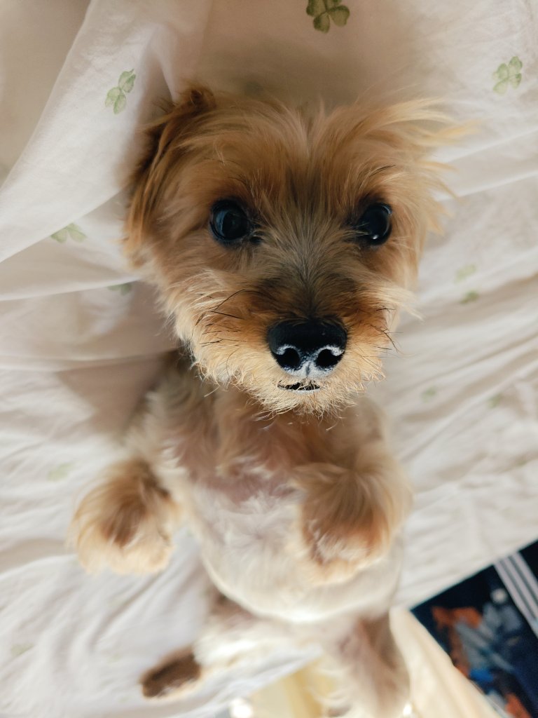 ༒•Nerio•༒ tweet media