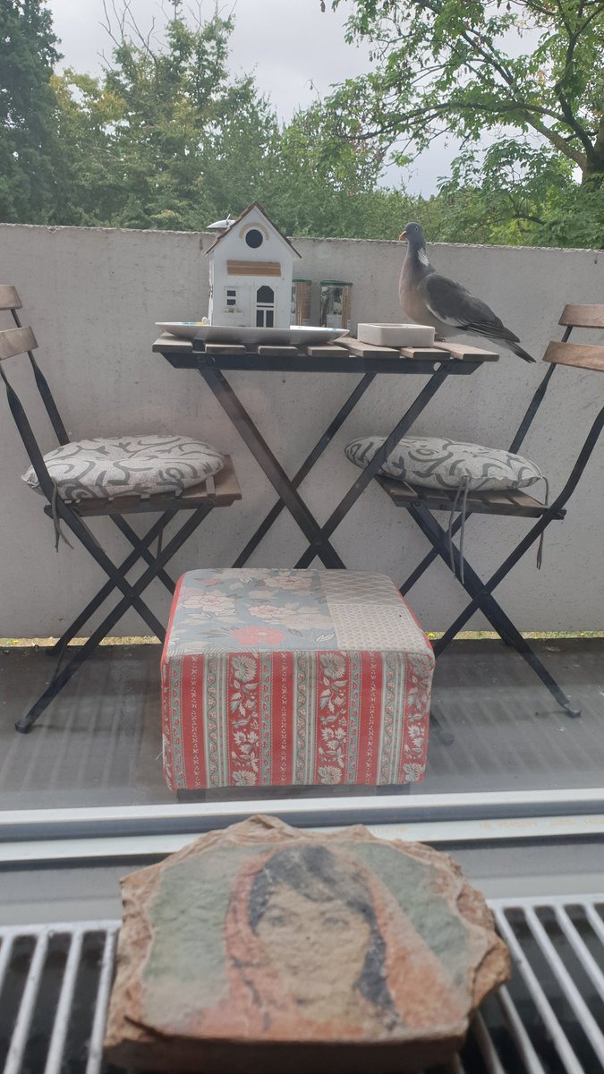 GünaydınMünaydınTünaydın
Bahçenin en büyüğü kahvaltıya gelmiş..