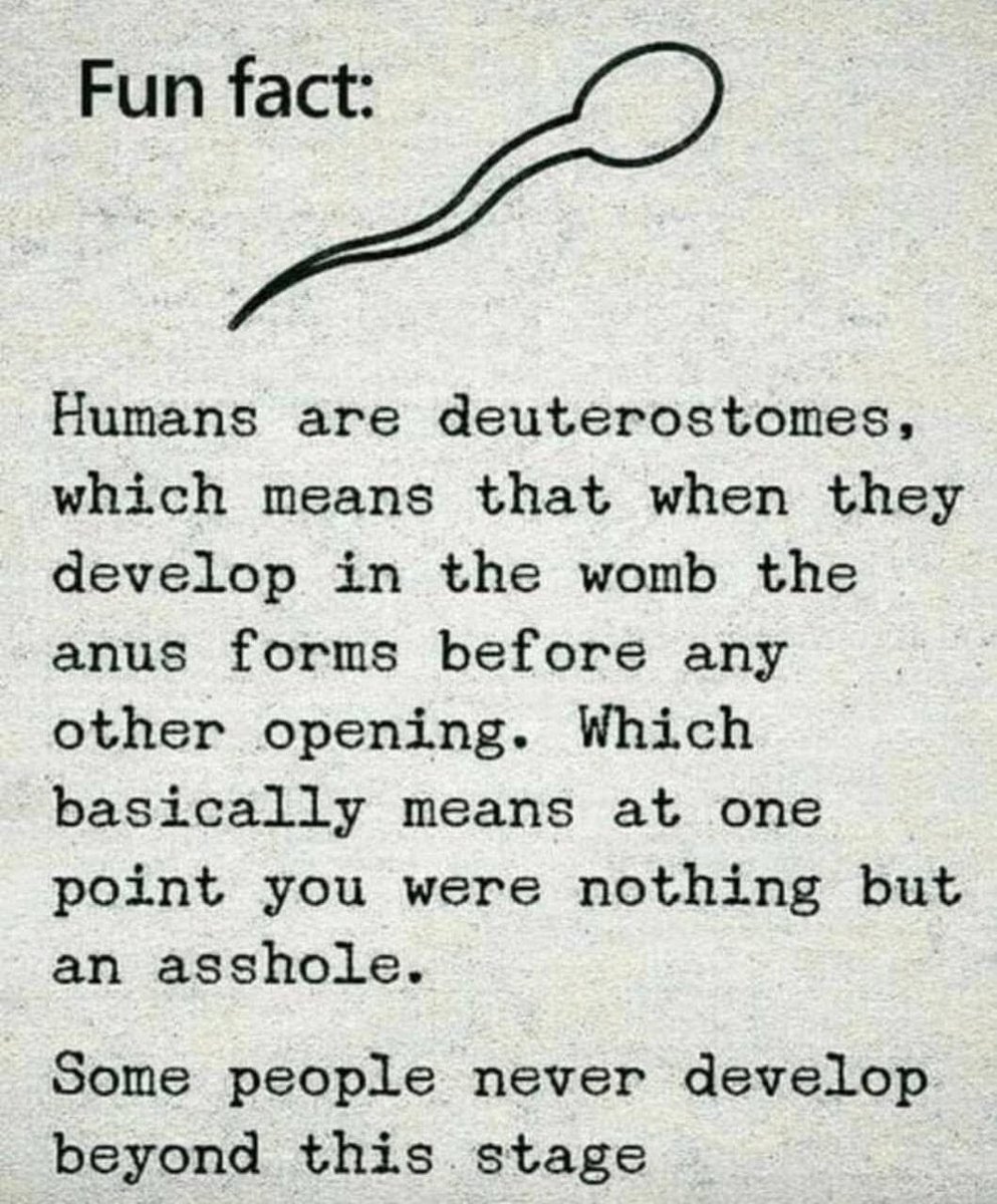 Lyndon Wood ✌️👽🙏 (@lyndonx) on Twitter photo 