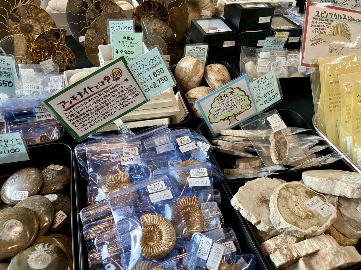 世界の鉱物・化石・パワーストーン展】 今年も開催！世界の鉱物・化石