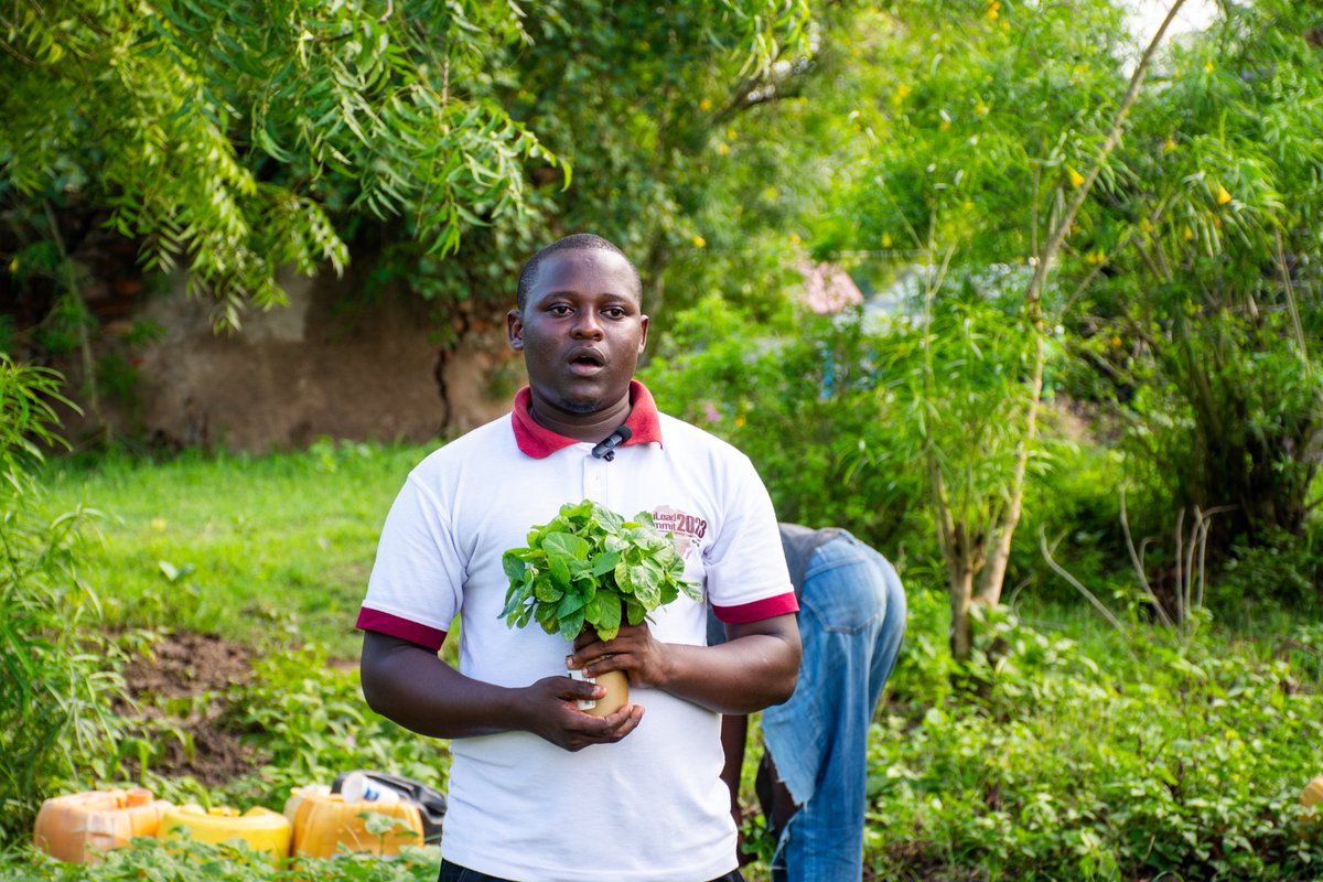 🎈It’s my birthday today and here’s my wish: 🌱
Let young people rise, thrive, and lead through Agroecology.
It’s not just farming-it’s freedom, resilience, and a path to success.
#AgroecologyNow #YouthInAgroecology #HappyBirthday2Me