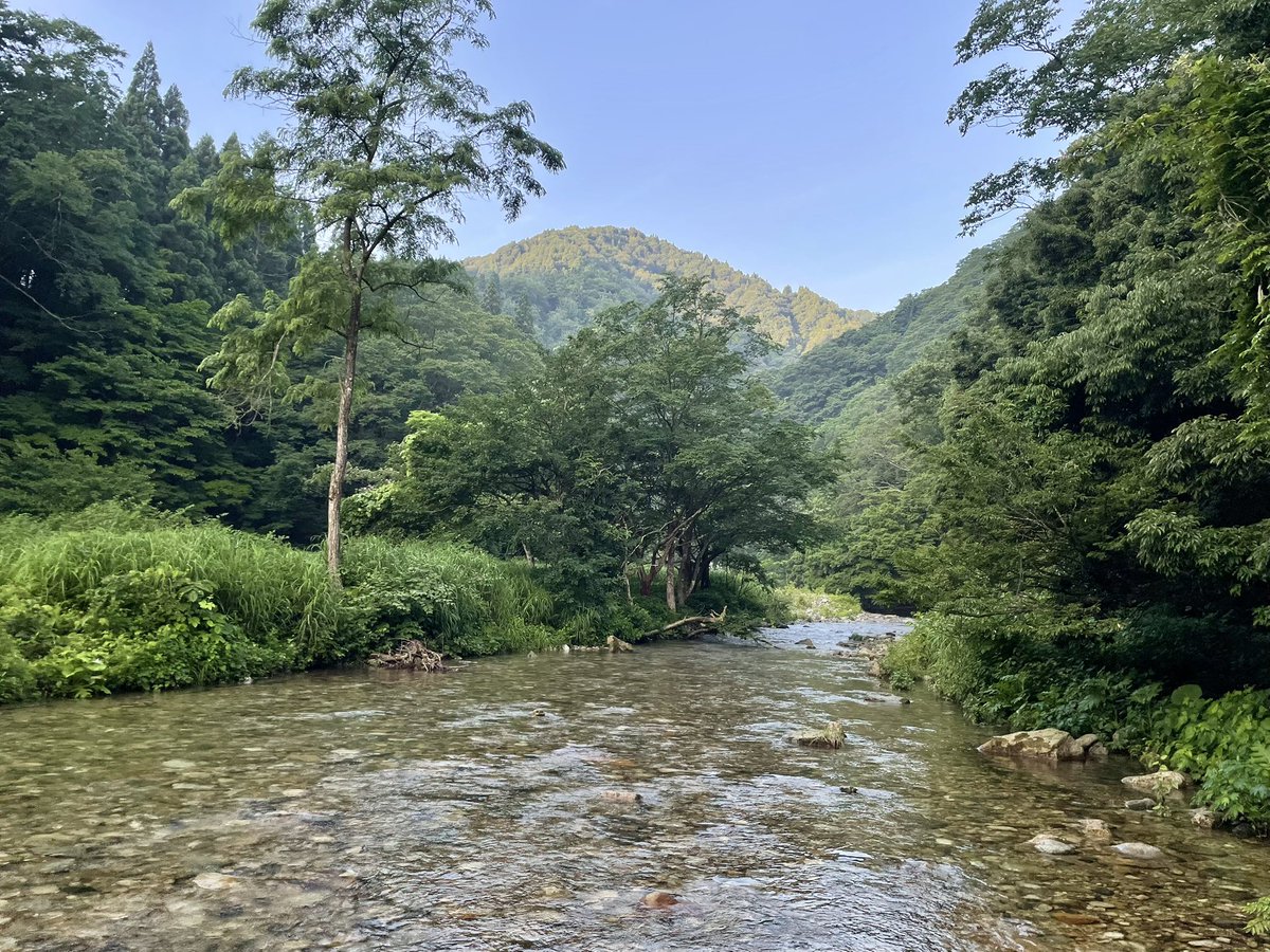 Miles Peterson tweet media