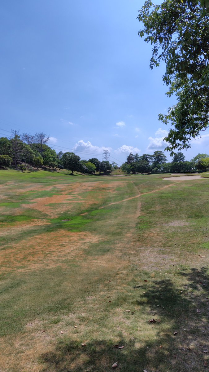 SPADA502's tweet image. 昨日のラウンド。
初めて氷嚢使ったけど、気持ちいい。
今まで無くても大丈夫だったけど、ありがたみがわかった。次も必ず持っていこう。

1Wが芯に当たらなかったけど、ほぼコースに残ってくれたのでそれなりのスコア。
今回も3桁だったけど、前よりいい感じになってきた。次こそは！

#ゴルフ好き