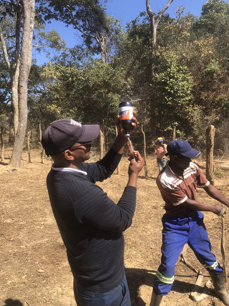 MiyandaBusiku's tweet image. It’s that time of the year…. Deworming and vaccines #Farmer in me …
