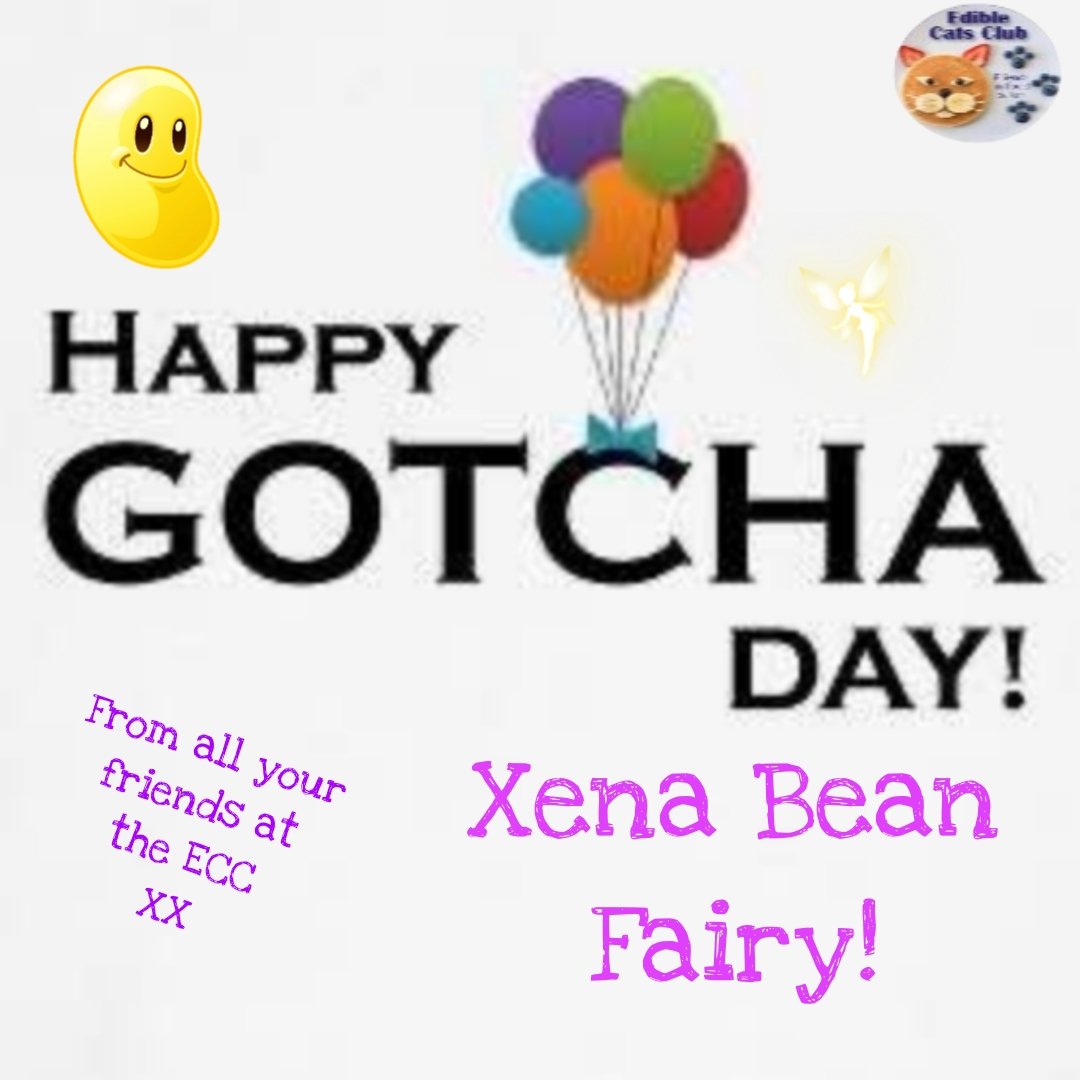 Postman Pappy’& Postman Panfur’s ECC Cards (@eccpostmanpappy) on Twitter photo *Postman Panfur comes in to the PO*
HAPPY GOTCHA DAY TO OUR FRIEND XENA BEAN FAIRY!! Have a pawsome day. Lots of love and paw hugs! 😽😽❤️❤️ <a href="/XenaBonina/">xena beanina 🌱 bean fairy, occasional xenius</a> <a href="/EdibleCatsClub/">EdibleCatsClub</a> *Postman Panfur comes in to the PO*
HAPPY GOTCHA DAY TO OUR FRIEND XENA BEAN FAIRY!! Have a pawsome day. Lots of love and paw hugs! 😽😽❤️❤️ <a href="/XenaBonina/">xena beanina 🌱 bean fairy, occasional xenius</a> <a href="/EdibleCatsClub/">EdibleCatsClub</a>