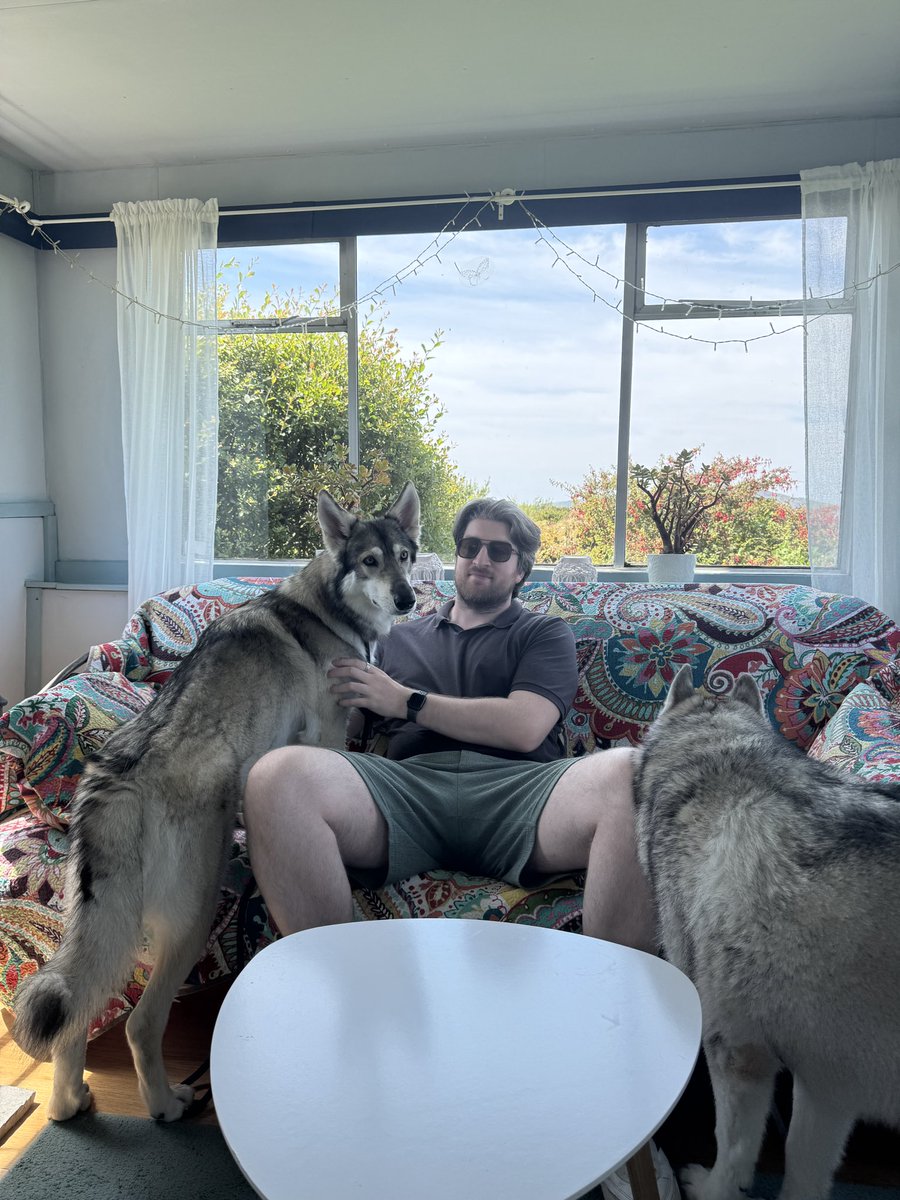 TheApexHound's tweet image. Lovely little weekend away with the pups 🐺