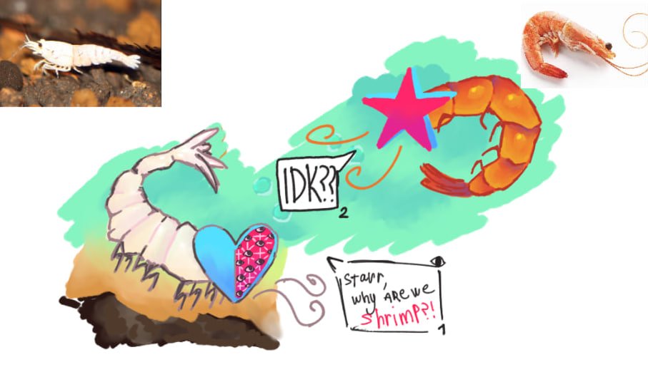 justselich's tweet image. SHRIMPS 
krevetochki 
#AChamberOfStars #theendlessempty