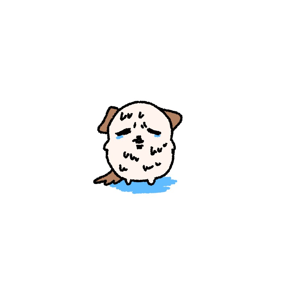 비가 오는데 우산을 안가져왔어