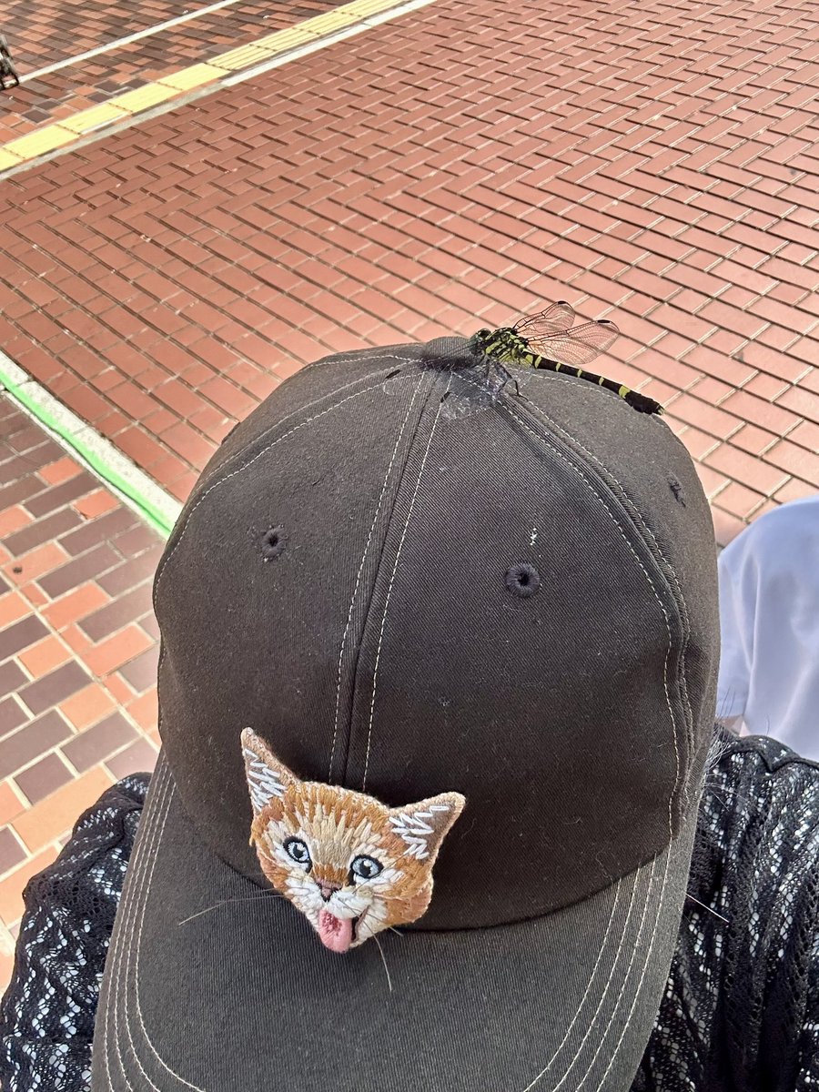 bluekitten228's tweet photo. リアルオニヤンマ君
本物を間近で初めて見たけど、色、フォルム羽の繊細さ全てが美しい。 https://t.co/ltZpr6WFaI