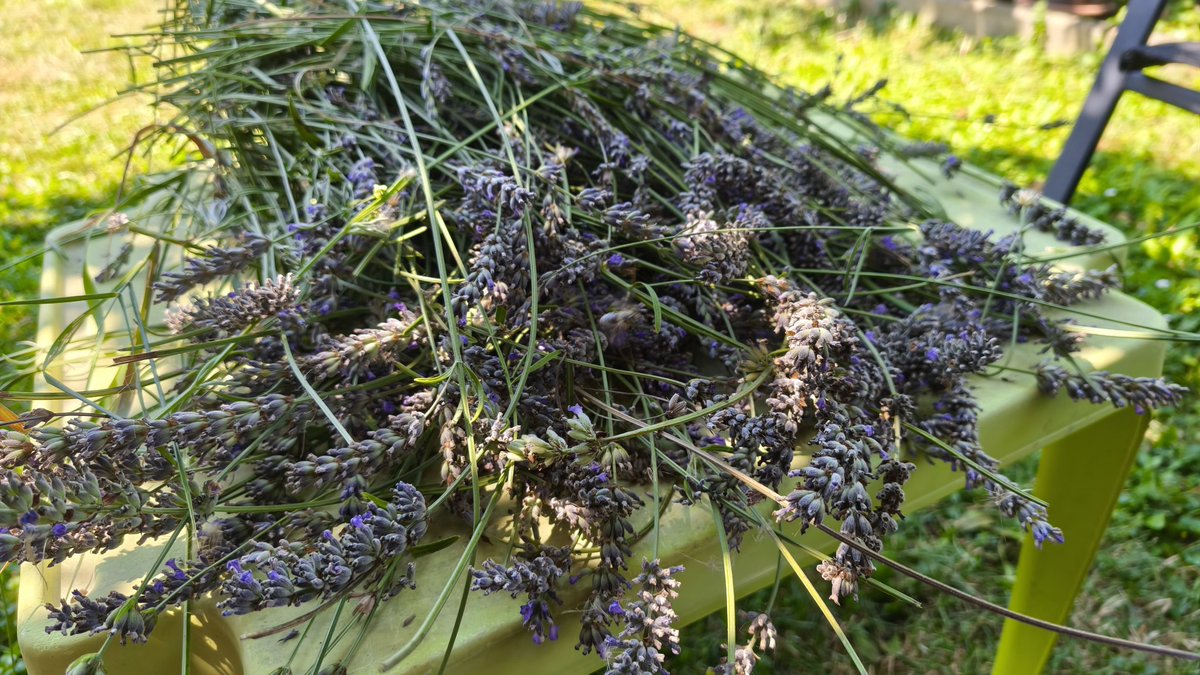 Samo polako...
I mirisljavo...
I puno pcela, bumbara i kukaca 😂