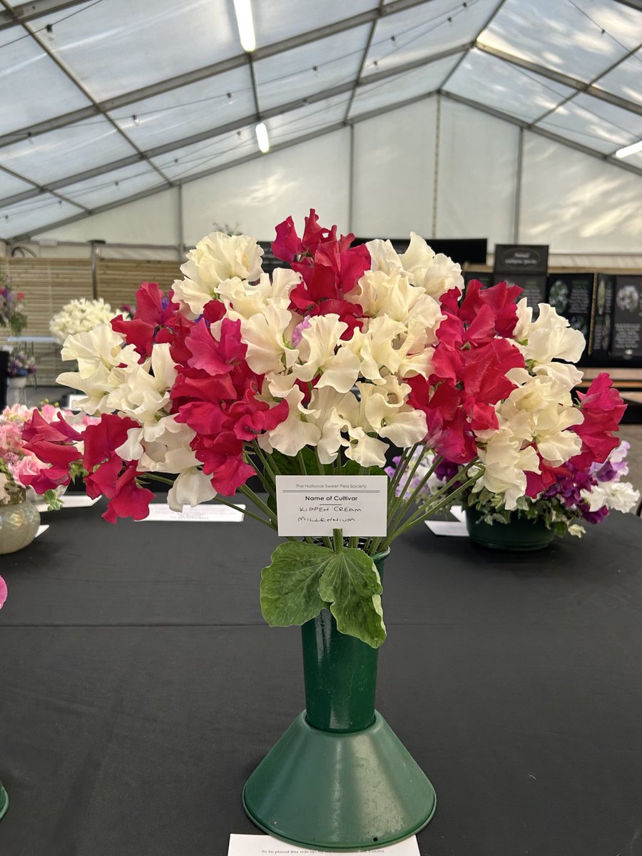 Darren Myers tweet media