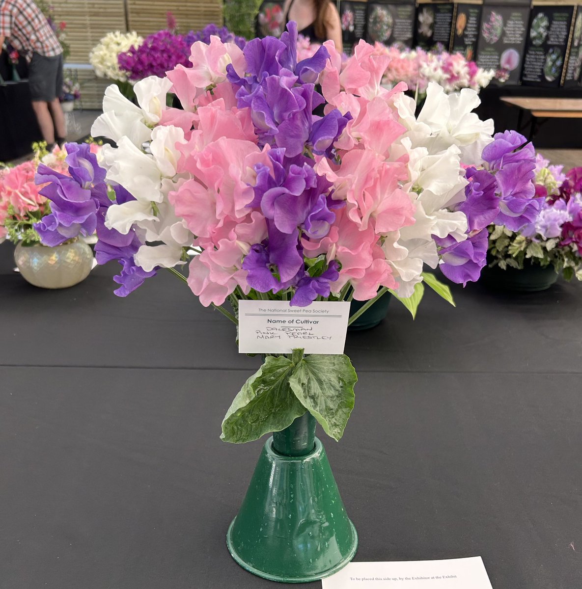 Darren Myers tweet media