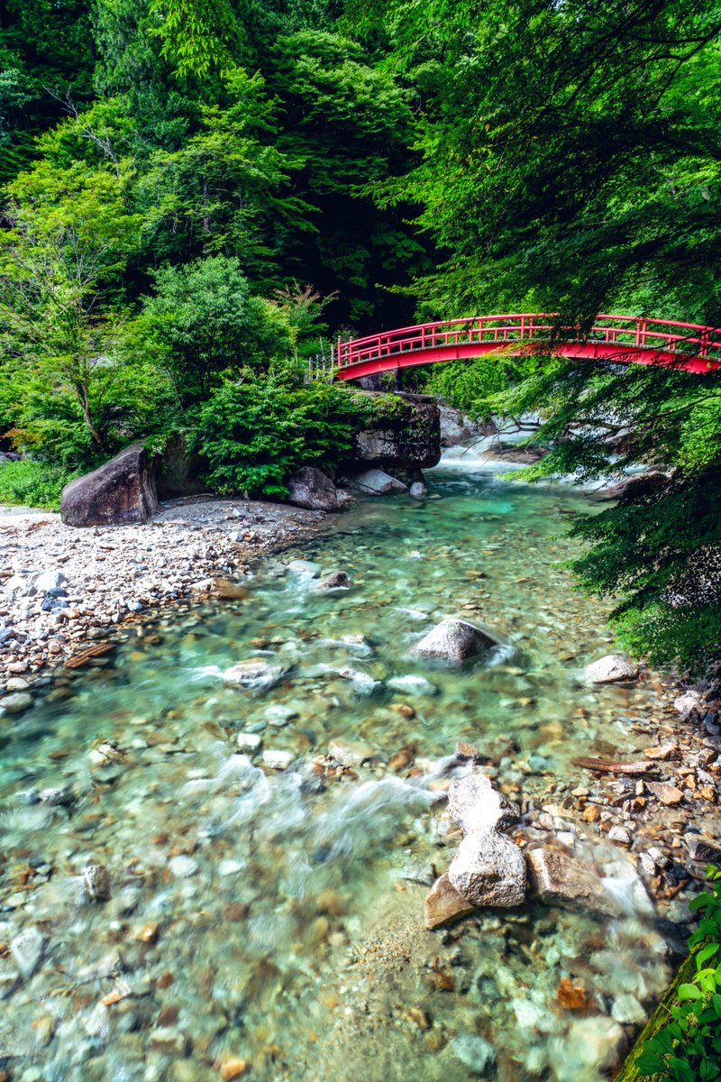 __taka23__'s tweet image. 赤が映える森林浴