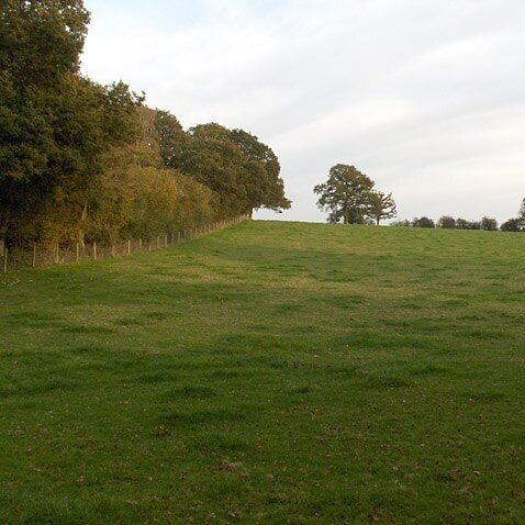 Wildlife trust condemns biodiversity planning change #housebuilding #LabourGovernment #ukgovernment #housing

naturalworldfund.com/wildlife-trust…