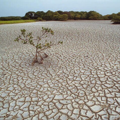 Recent droughts are ‘slow-moving global catastrophe’ #drought #watercrisis #WaterConservation #rainfall

naturalworldfund.com/recent-drought…