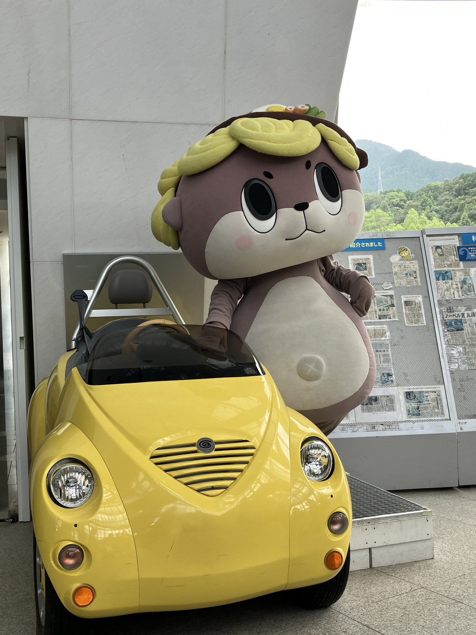 球乗りコゾウくん 球乗りコゾウくん【C】{23RP469/74}《自然》
