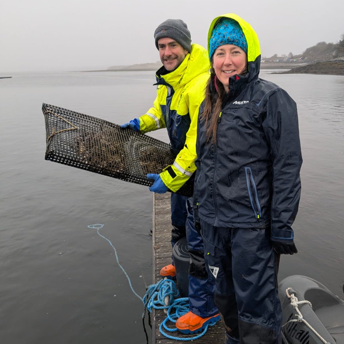 The challenge facing Britain's oysters: Dr Sleight &amp; her collaborator Tom Ashton, a native oyster farmer, spoke on BBC Radio 4's Farming Today about a trial to selectively breed our native oysters to make them more resilient to climate change and pollution abdn.io/1xR