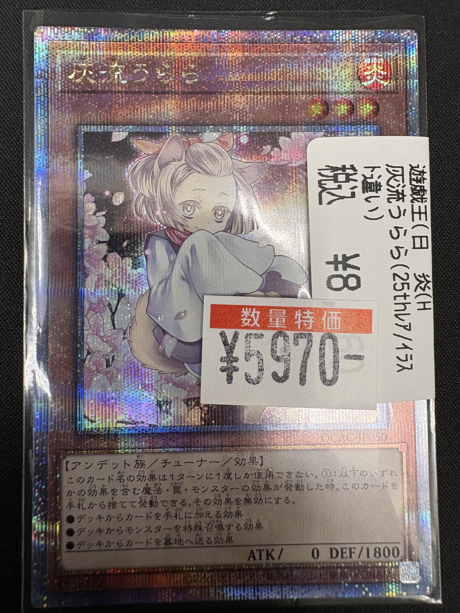 メルカリで本日中に売れなければ300円❗「はるうららニャンコ」 メルカリで本日中に売れなければ300円❗「はるうららニャンコ」