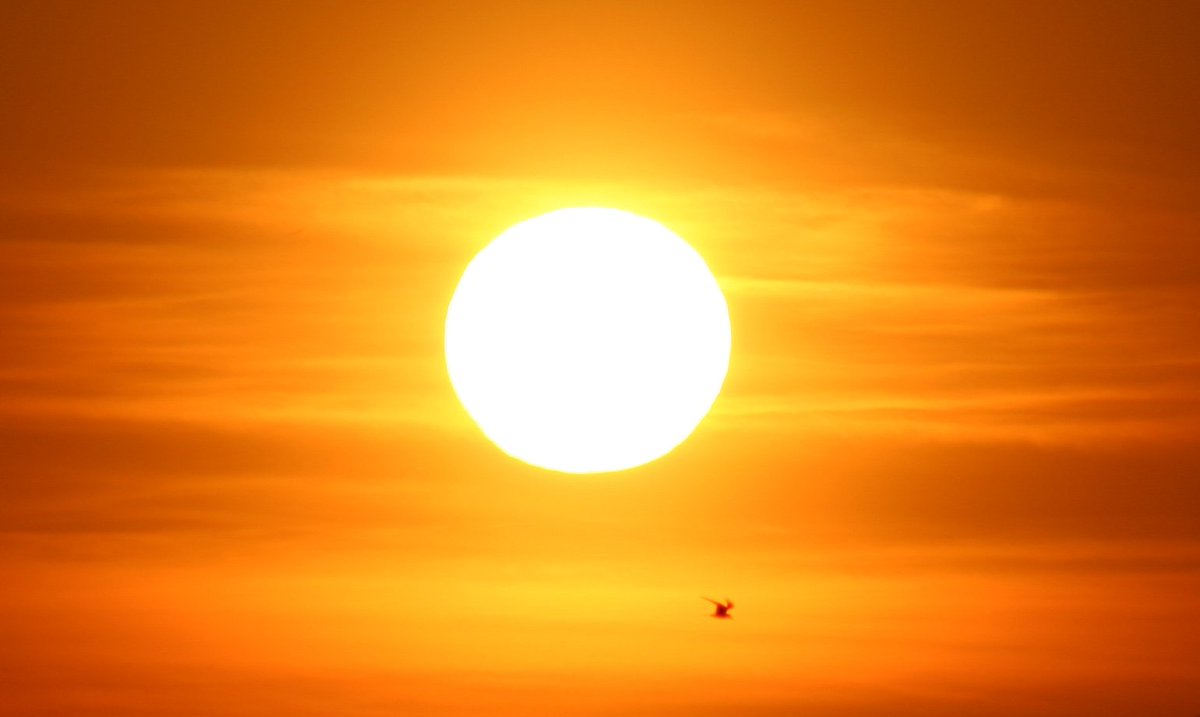 Chippenham weather for Sunday: Today is the last day of the current heatwave. Dry with plenty of sunshine and another very hot day with a temperature high of 31 degrees Celsius. Pollen is high and UV levels are very high.
