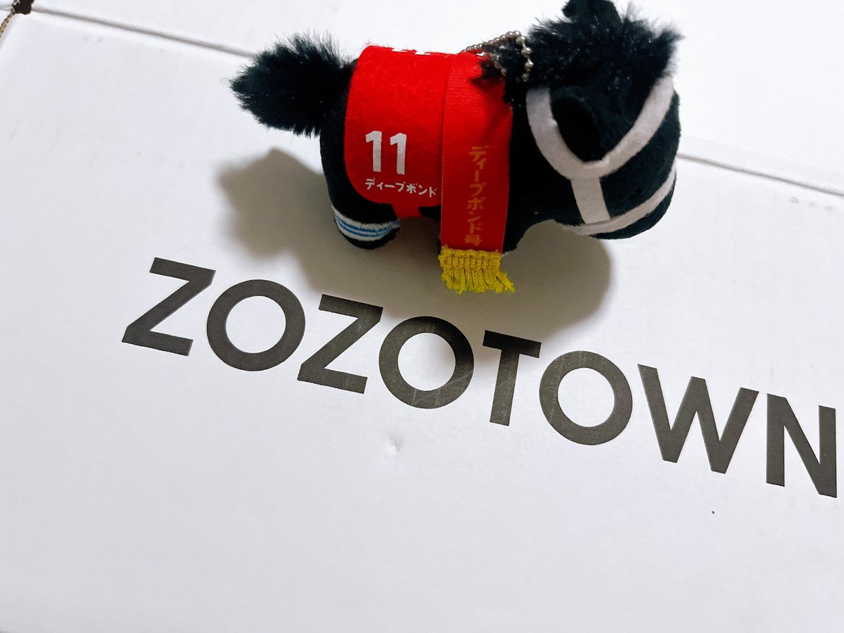 xxd5b's tweet image. ついにきた！
推しと白箱チャレンジ📦𓈒𓏸

@zozojp 
#ZOZOSALE箱CP