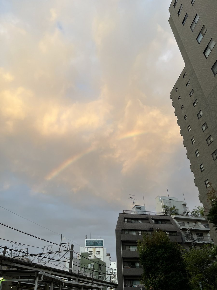 ちょこ tweet media