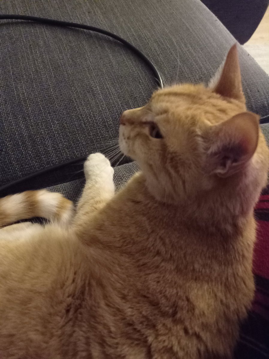 Bizi beğenen olur mu😻  safiş❤çiti❤ hardal ❤😻 :))