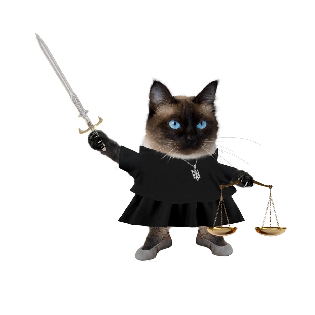 ZoozaPeacock's tweet image. 🥳Totally missed my 1st Forgeversary 3 weeks ago. It's been a ride! 🥳
Anyway, let's celebrate my 2⃣0⃣0⃣th fella instead.🍾
Actually, a fellarina AND a cat😃, but in fighting disinformation & ruzzian aggression tiny differences do not really count.
💪United we stand! ❤️🔥🇺🇦❤️🔥
1/5