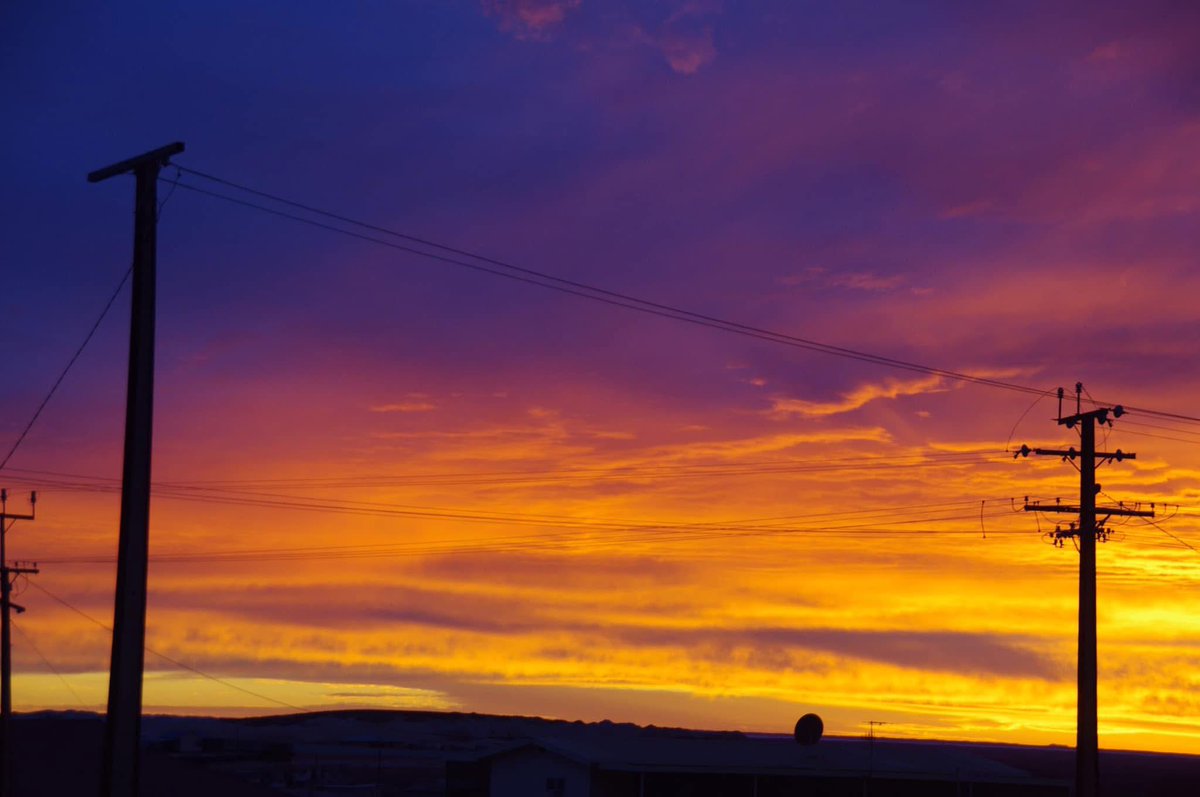 OutbackJunita (@outbackjunita) on Twitter photo 