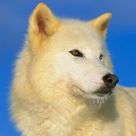 KattyJetty_ tweet media