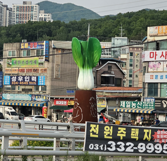 친구가 자기네동네에 청경채동상있대서
대체무슨소리냐고했는데
진짜 리터럴리 청경채였음
너무웃김그냥