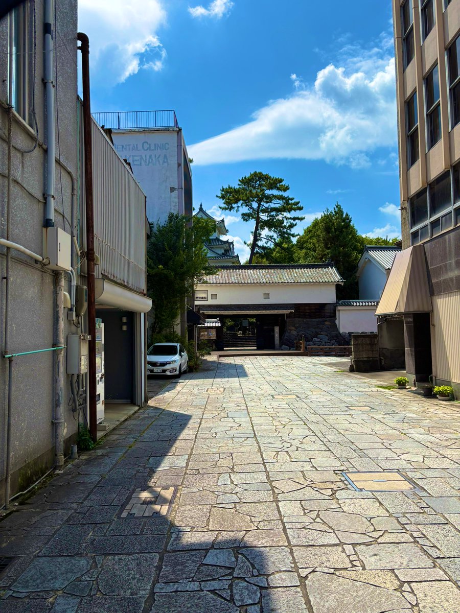 ckck404's tweet photo. お城いってきた https://t.co/DnroDYeYfG