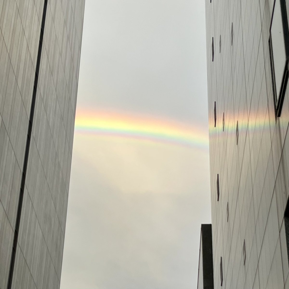 ビルの隙間から完璧な虹🌈