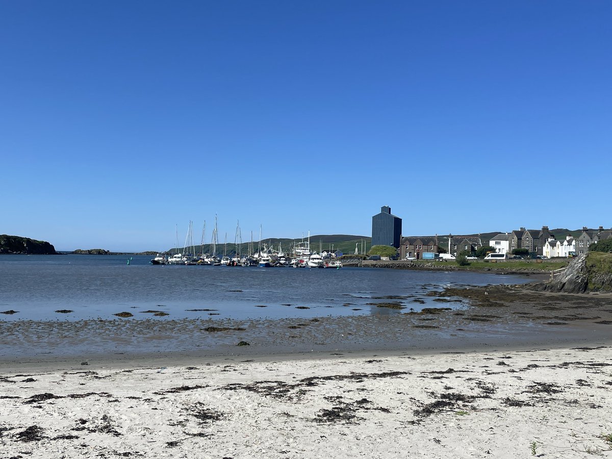 Winna Ding tweet media