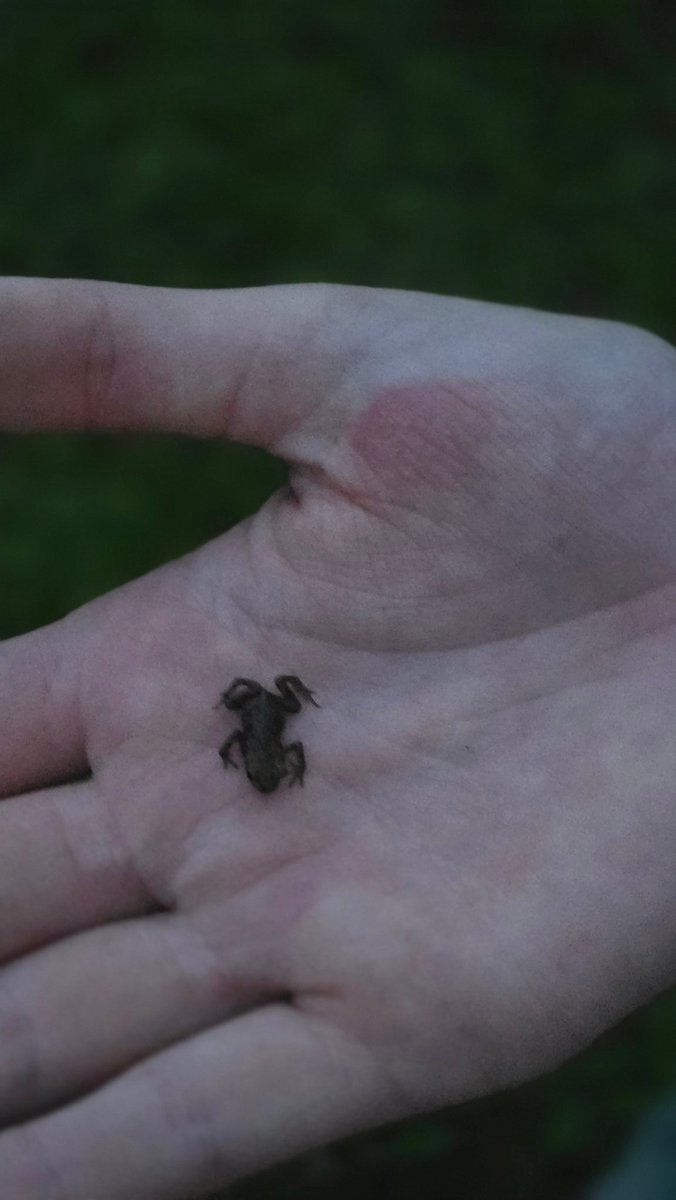 На даче конечно обалденно!!!