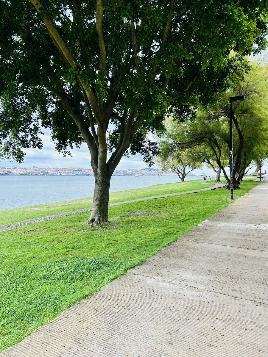 Happy Sunday - take time to unwind just observing without any thoughts. 

Let it be your investment in effective next week