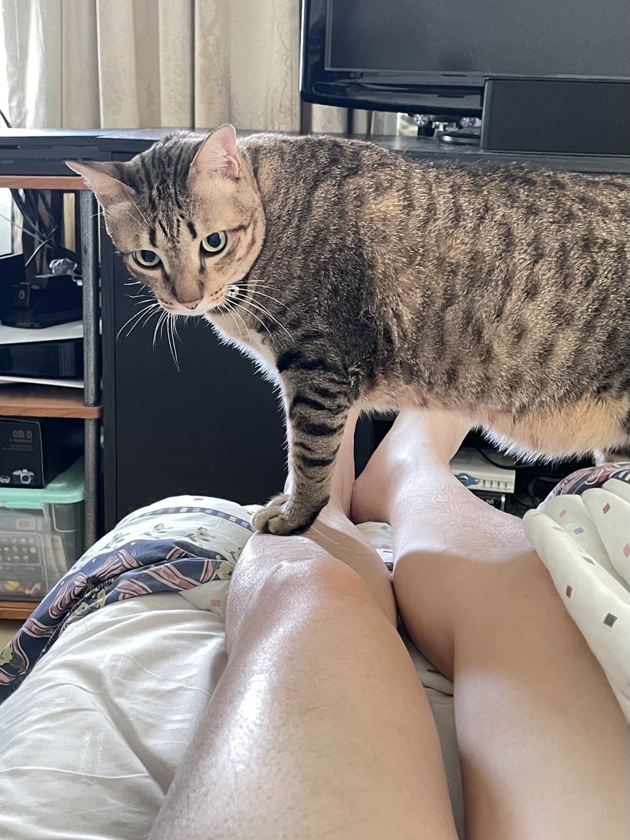 พี่นานะแอบมาสอนน้องฮานะนวดขาเหรอ