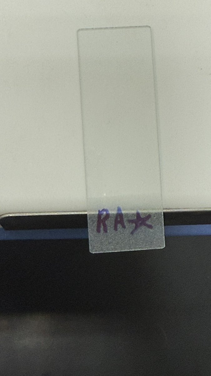 RAf9nu's tweet photo. Microbiology is the best 🌟 https://t.co/fxtx9DlVpm