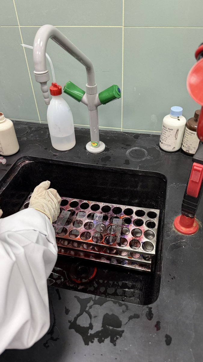 RAf9nu's tweet photo. Microbiology is the best 🌟 https://t.co/fxtx9DlVpm