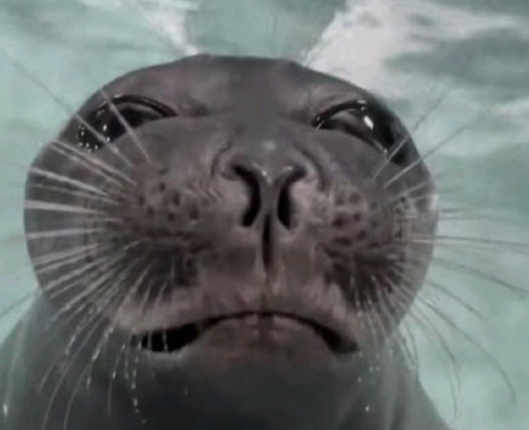 โก ๐๐ก๐๐ข.แ (@determinelight) on Twitter photo  โก ๐๐ก๐๐ข.แ (@determinelight) on Twitter photo