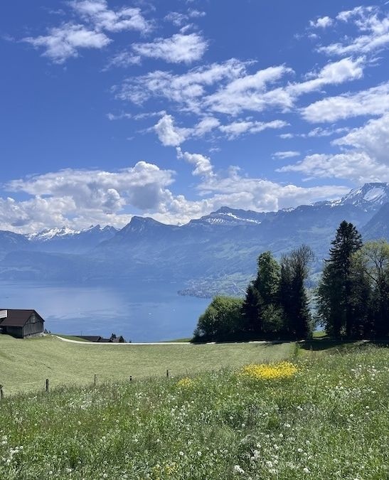 my_mountains's tweet photo. This is your sign to go for the Bürgenstock hike in Switzerland 🥾🏔️🇨🇭

https://t.co/G5TMpNE3O8

#bürgenstockhike #switzerland #swisshikes https://t.co/ALH3d80upu