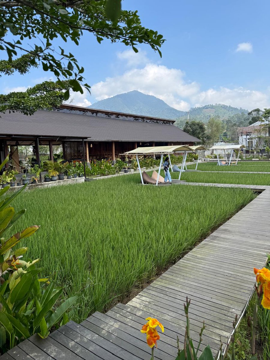 Saung Komando
#SaungKomandoCiwidey
Obyek Wisata Asik &amp; seru 
dengan Fasilitas Super Komplet
di Seputar Bandung
Dg view pedesaan yg sejuk serta ragam wahana rekreasi yang menyenangkan, solusi liburan yg menyenangkan