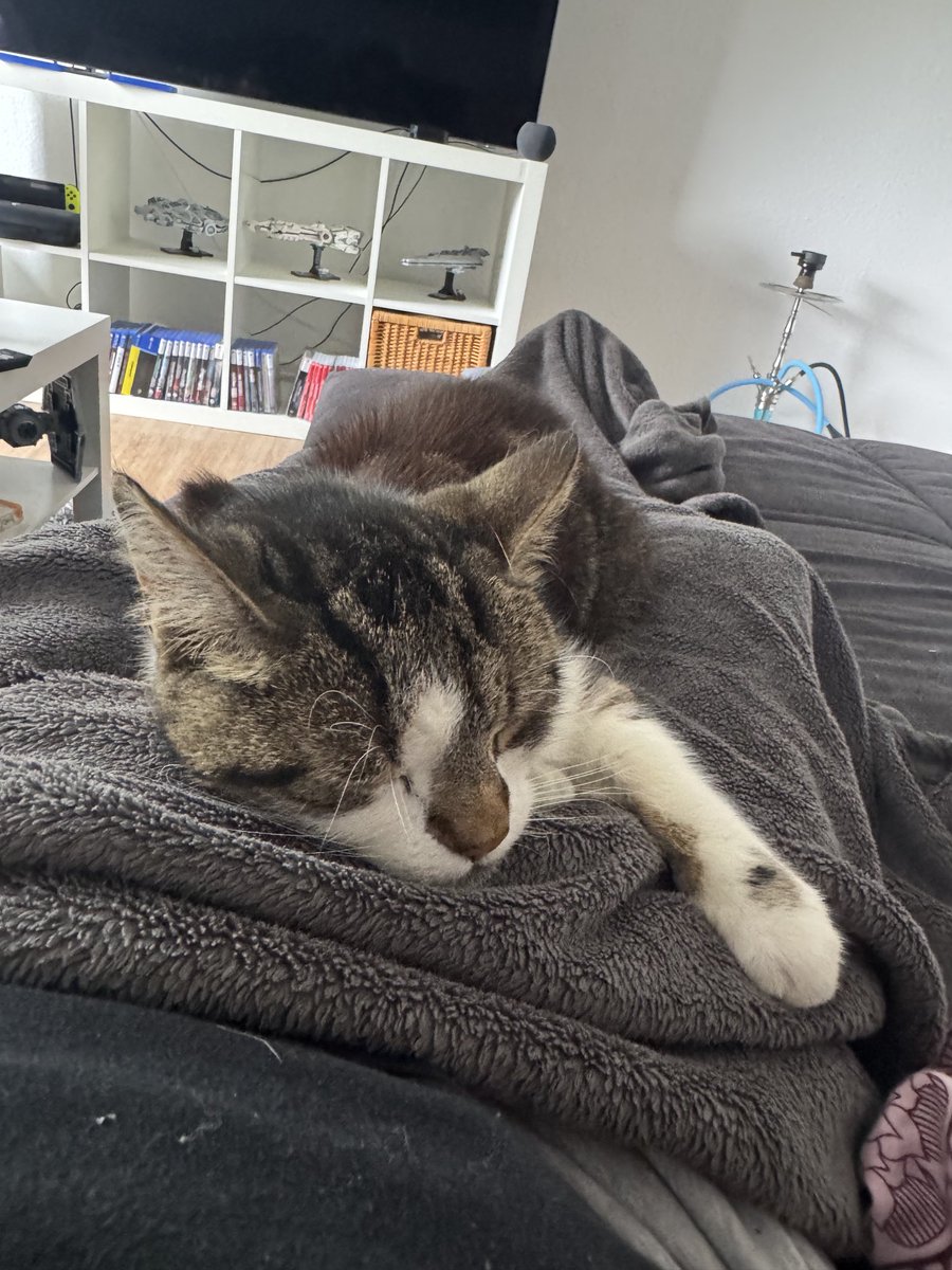 Ich werde hier belagert