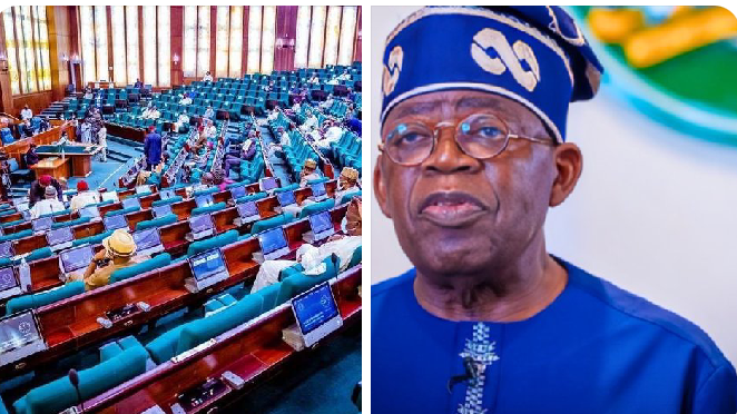 House of Reps Proposes Bill to Strip Tinubu of Power to Appoint INEC Chairman parallelfactsnews.com/house-of-reps-…