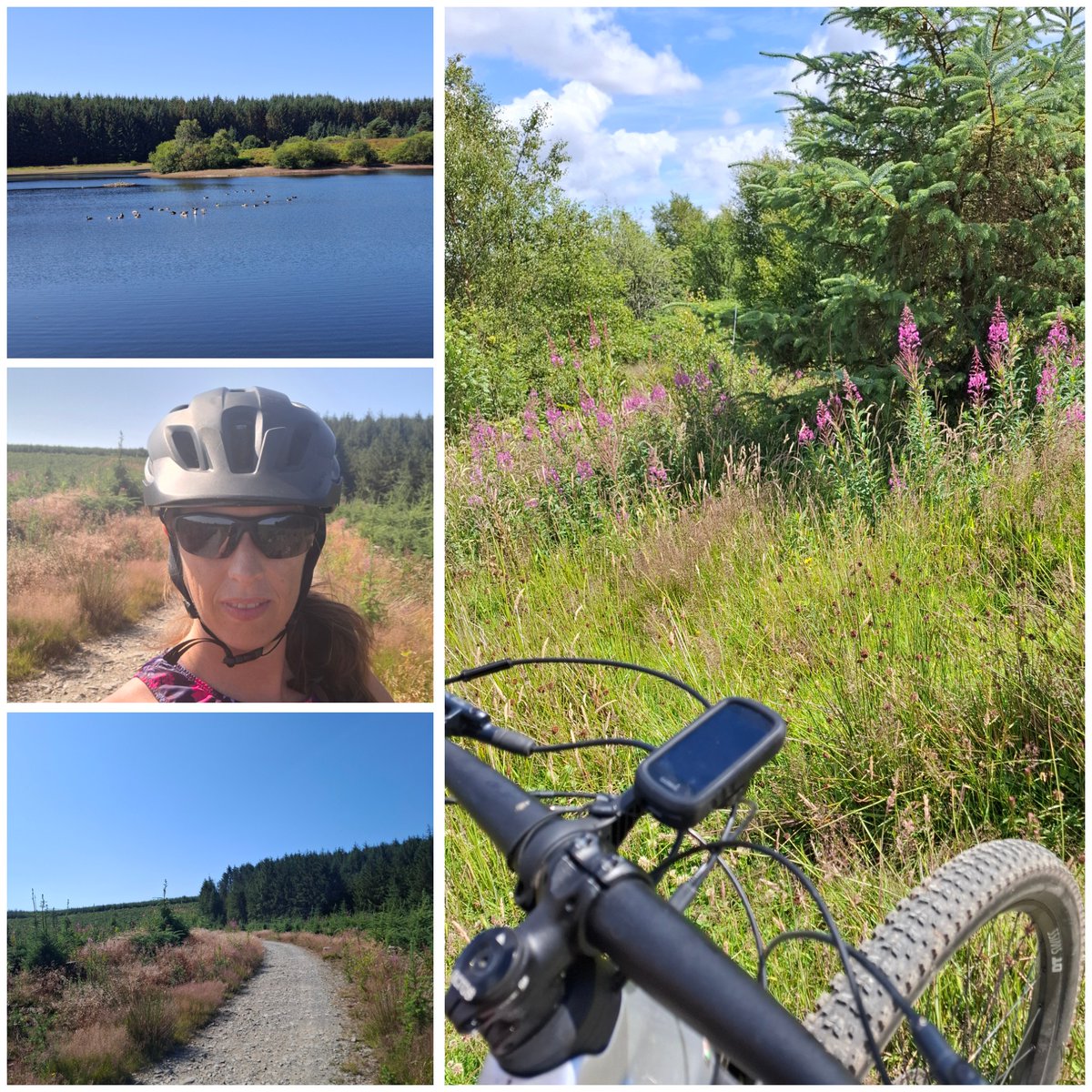Morning mountain bike ride done 🚵‍♀️✅️ Thankful some bits were in the shade 🌞😓

#Llandegla #mountainbike #mtb #northwales