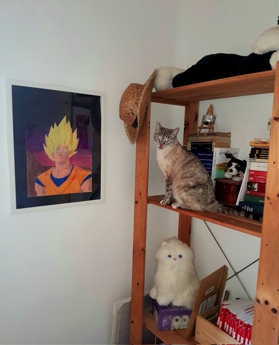 Feliz Domingo para todos...😻👋