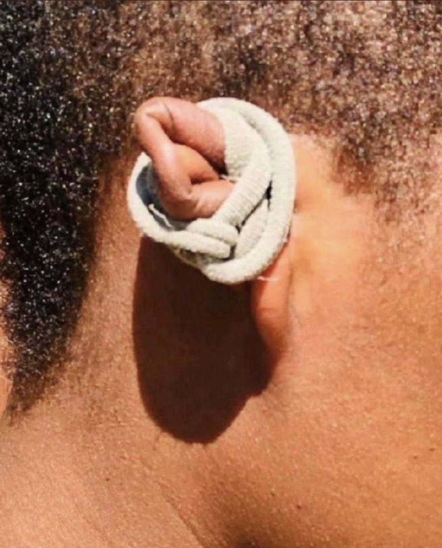 🍄🌳🚀🚀 tweet media