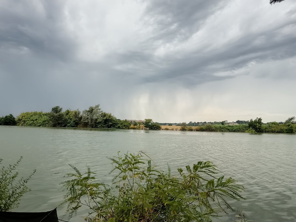 Mirko Tomasiello (@mirkotomasiello) on Twitter photo 