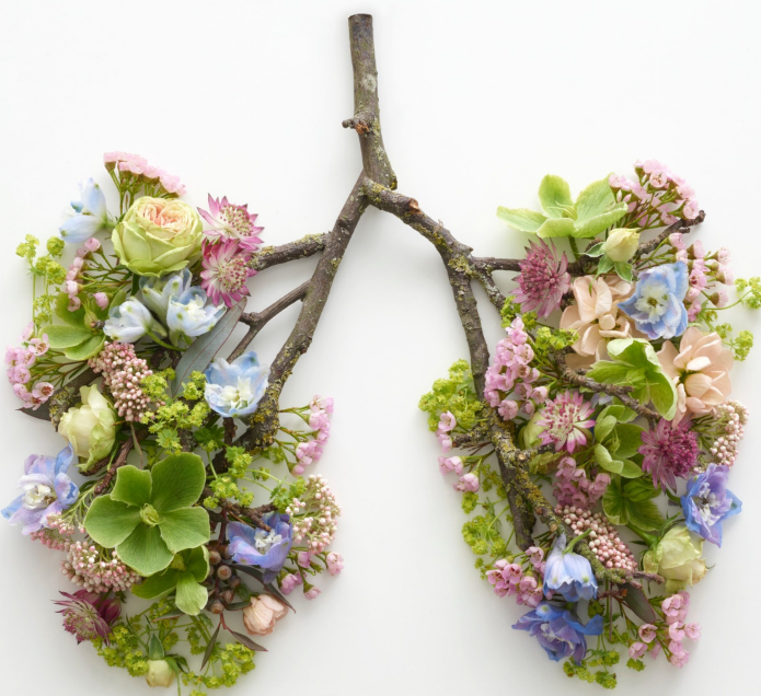 FirewalkUK tweet media