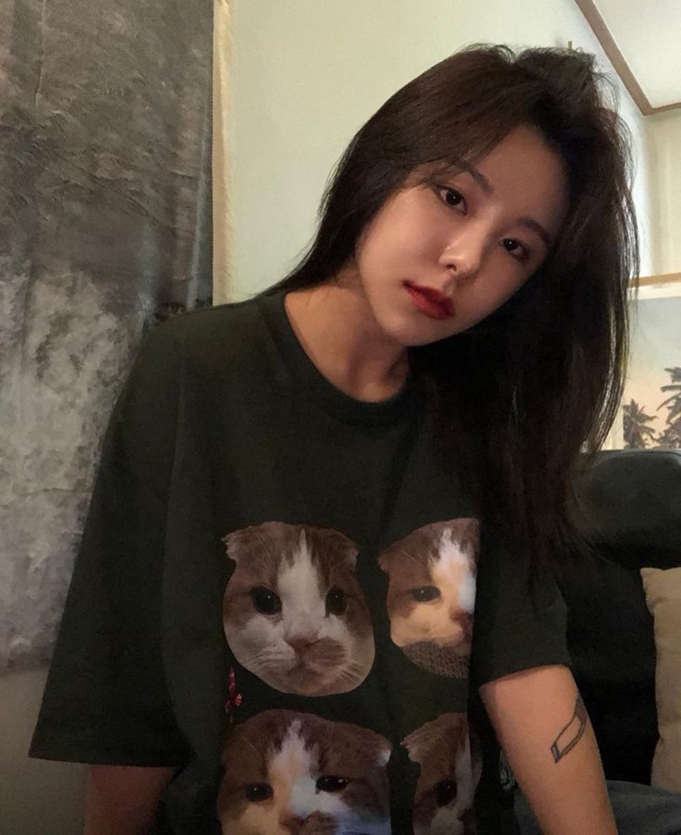 밍밍🐹 tweet media