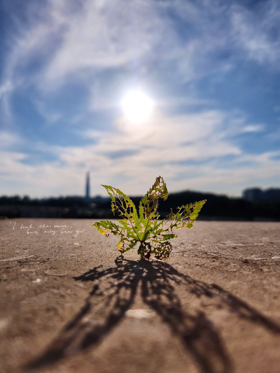 떠난 이에게는 미련
남은 이에게는 그리움